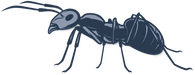 navy blue and periwinkle ant icon